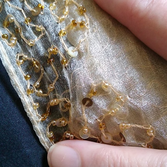 Vintage Beaded Chiffon Scarf - Picture 4 of 4